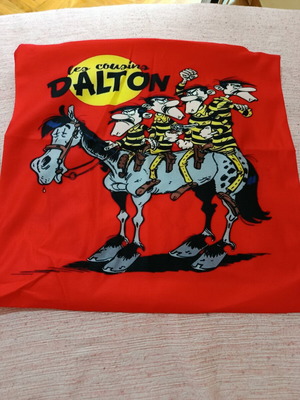 The Daltons pillowcase new polyester with zipper