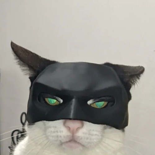 Batman Dark Knight Cat Mask new cosplay