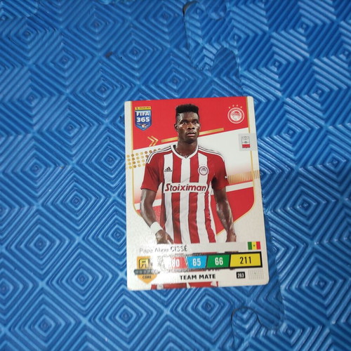 FIFA 365 The Champions Team like new