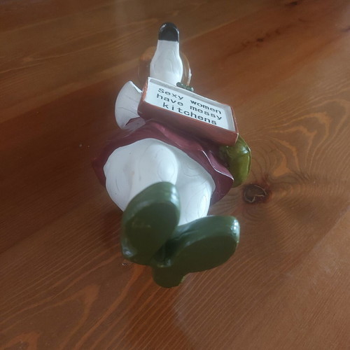 Humorous decorative duck with hat and sunglasses, like new