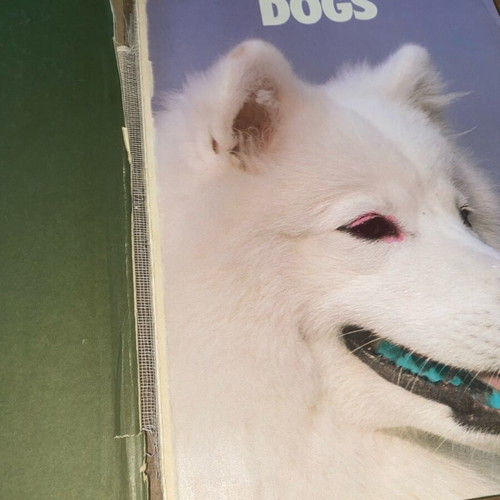 Book The Complete Book of Dogs used, dogs, training, care