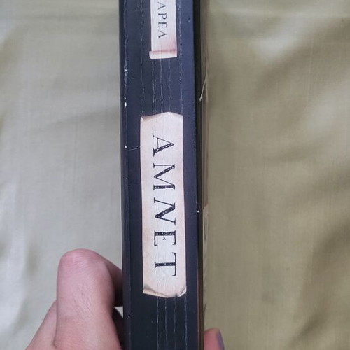 Amnet by Maggie O'Farrell used