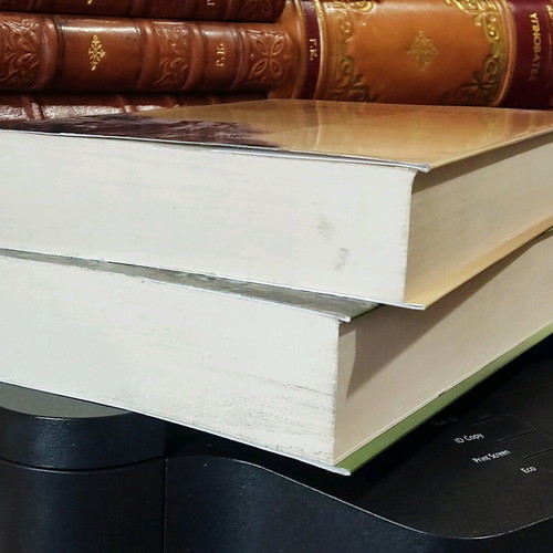 Odiporikon Satovriandou set of 2 volumes like new