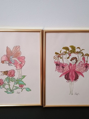 Flower Fairies της Cicely Mary Barker κορνιζαρισμένες εκτυπώσεις, σετ 12