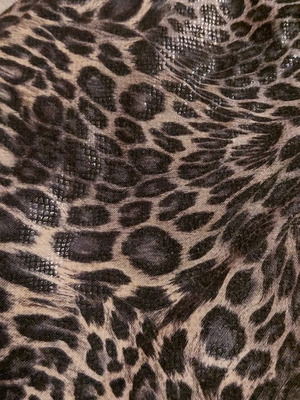 Leopard leggings used, one size