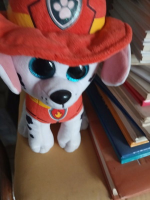 Λούτρινο Paw Patrol Chase μεταχειρισμένο