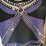 Leotard new, very shiny