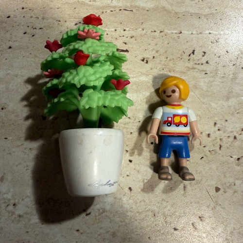 Playmobil Boy with Flower Pot and Flowers like new