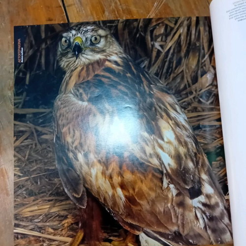 Explorers of the Air Nature Book like new