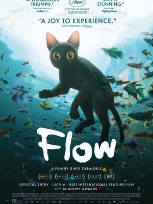 Flow movie poster like new