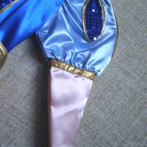 Princess Pink Carnival Costume new, for 10-year-old girl