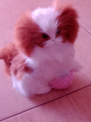 Λούτρινο γατάκι σαν καινούργιο