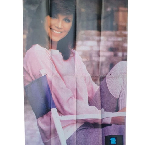 Victoria Principal vintage poster used