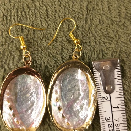 Abalone shell earrings