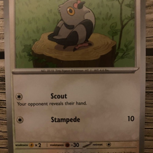 Pokemon Pidove Basic Card new in sleeve