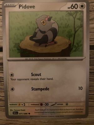 Pokemon Pidove Basic Card new in sleeve