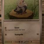 Pokemon Pidove Basic Card new in sleeve