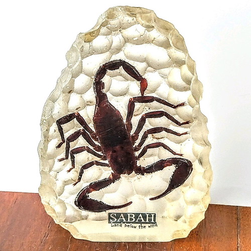 Large Scorpion in epoxy resin like new, souvenir from Malaysia