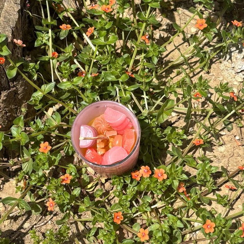 Handmade candle in glass cup new with fragrance and colors