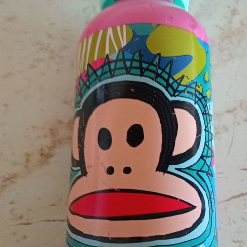 Paul Frank insulated bottle used with signs of wear