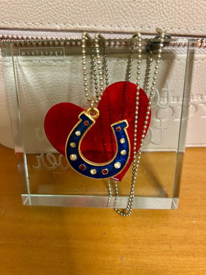 Horseshoe necklace with blue eyes new