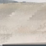 Σπύρος Βασιλείου