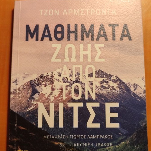 Book Lessons of Life from Nietzsche used