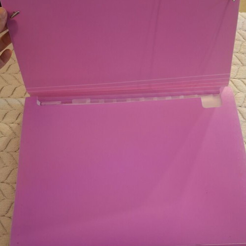 SKAG Pink Expanding File Folder A4