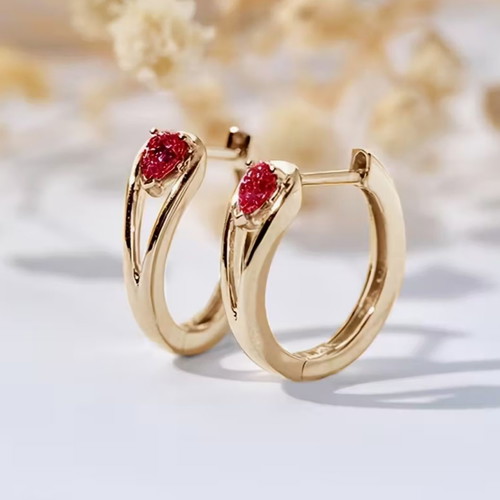 Gold earrings with red stone new