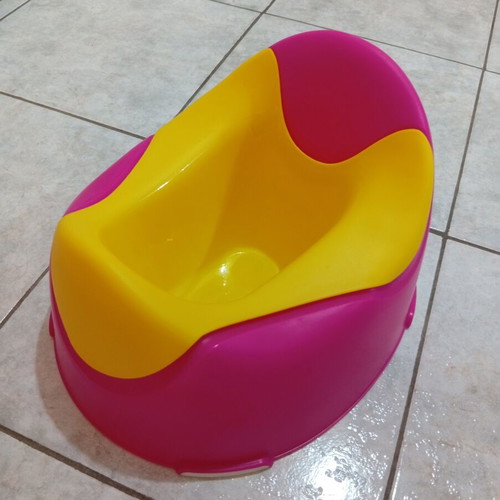 Large potty with removable container
