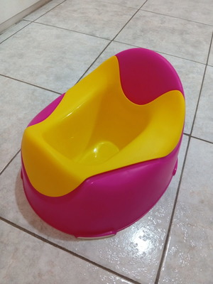 Large potty with removable container