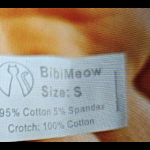 Women's Cotton High Waist Bikini Underwear Pack of 5 New