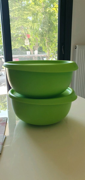 2 blosom μπωλ 550 μλ !Tupperware