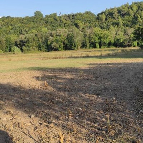Plot of land 20 stremmata in Arcadia, Tropaia Livadaki area