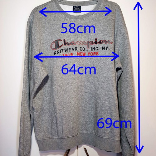 Champion men's sweatshirt light gray size L like new