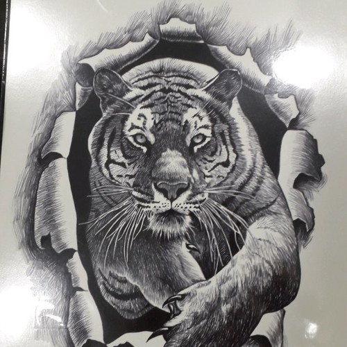 Tattoo new, 1 piece