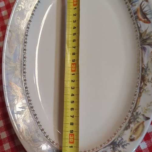 Porcelain fish-themed serving platter set like new, 1 large and 6 small oval plates