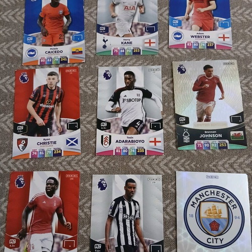 Panini 2023 used stickers with box