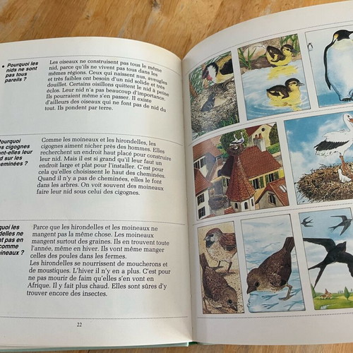Les animaux sauvages book used, French