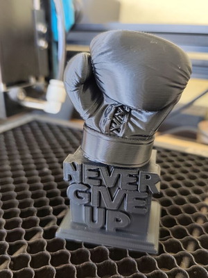 3D Expert διακοσμητικό μοτίβο Boxer Never Give Up 10cm καινούργιο