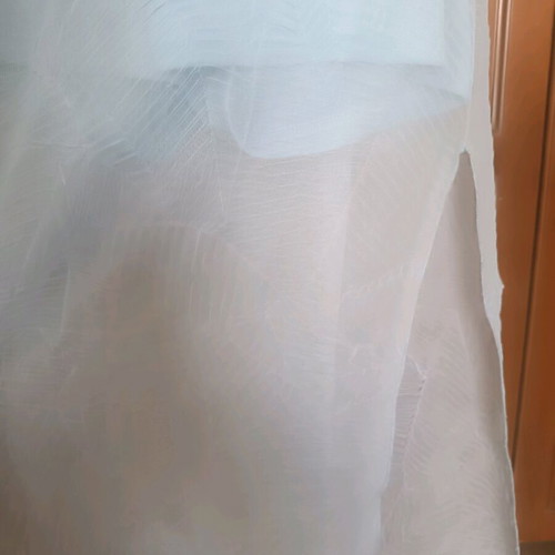 Long transparent skirt with shorts