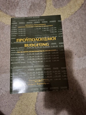 Budgeting book like new