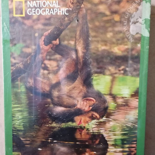 National Geographic Chimpanzee Puzzle new 1000 pcs