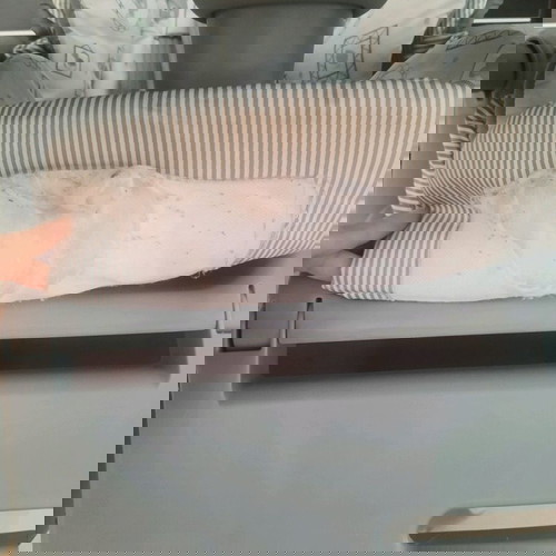 Καρεκλάκι φαγητού Joie με ρυθμιζόμενη πλάτη σαν καινούργιο