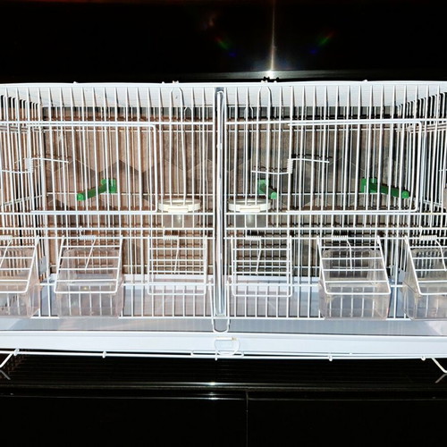 Metal double bird cage 60×25×33 cm with feeders and perches