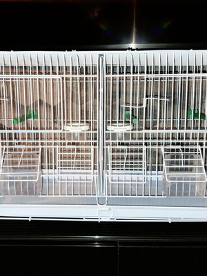 Metal double bird cage 60×25×33 cm with feeders and perches