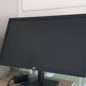 22" Full HD LED Monitor LG