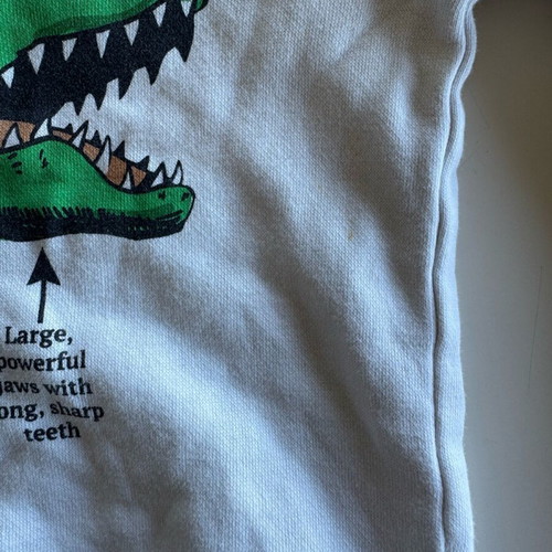 H&M Kids' Dinosaur Sweatshirt used, for 6–8 years, white