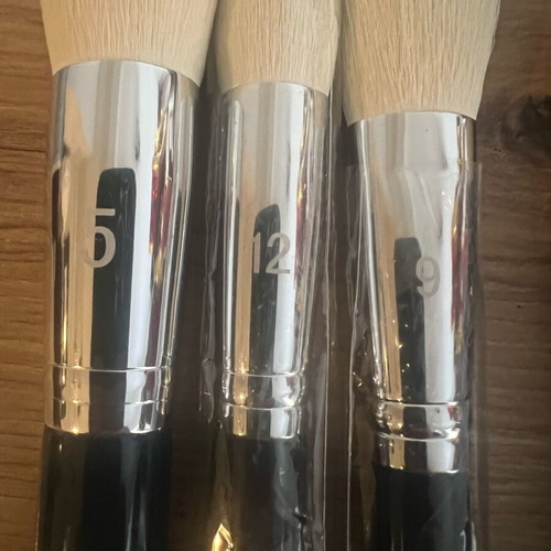 Blery professional brush set of 7 new with Inglot pigment gift