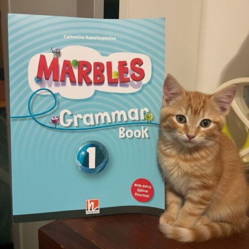 English learning books new, set of 5